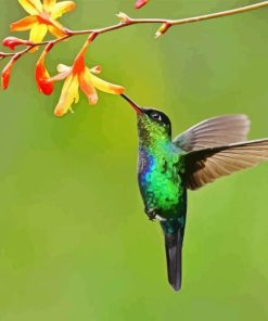 Green Hummingbird And Flowers Diamond Painting