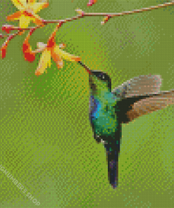 Green Hummingbird And Flowers Diamond Painting