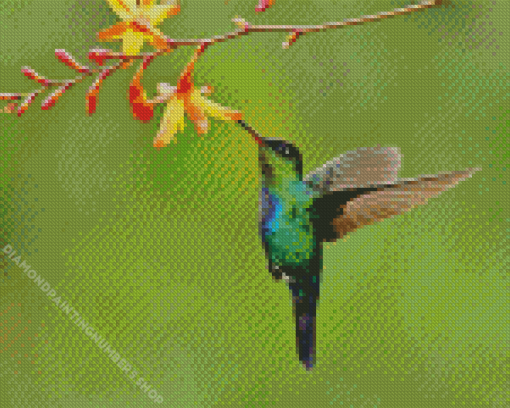 Green Hummingbird And Flowers Diamond Painting