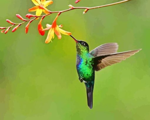 Green Hummingbird And Flowers Diamond Painting