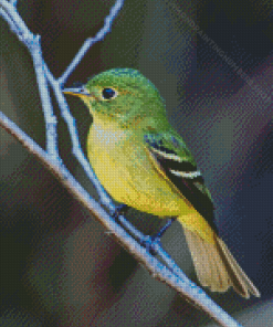 Green Little Tyrant Flycatchers Diamond Painting