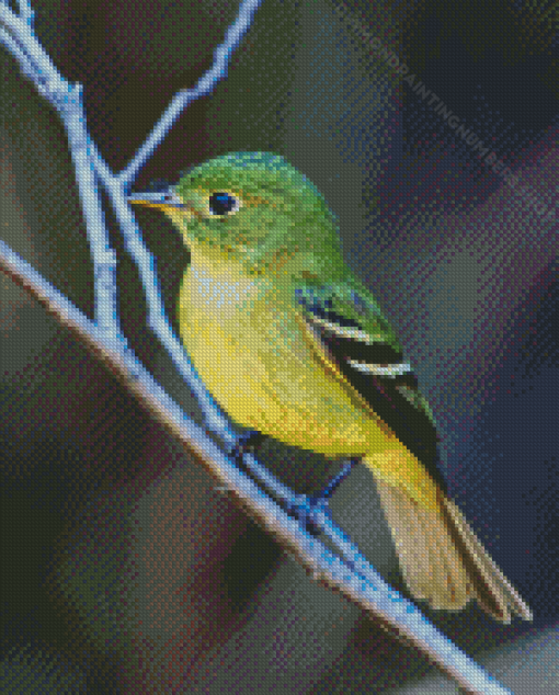 Green Little Tyrant Flycatchers Diamond Painting