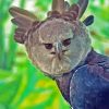 Harpy Eagle Diamond Painting