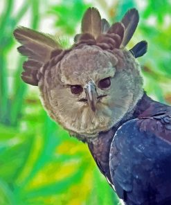 Harpy Eagle Diamond Painting