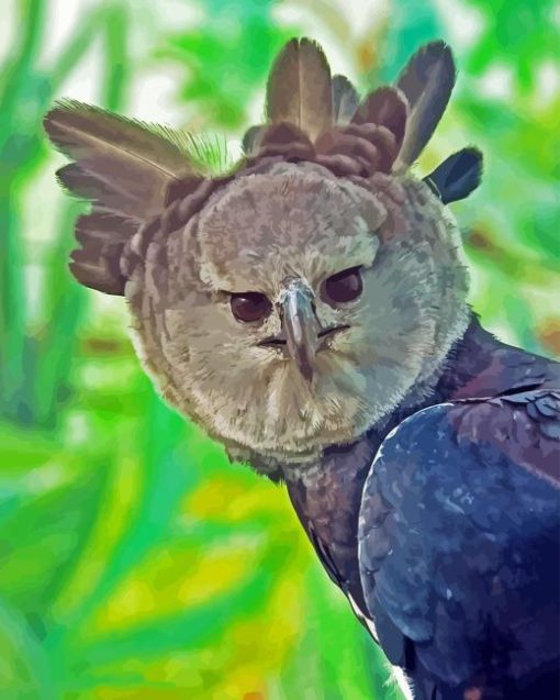 Harpy Eagle Diamond Painting