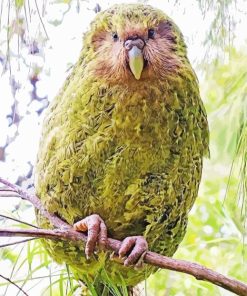 Kakapo Bird On Stick Diamond Painting