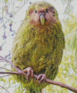 Kakapo Bird On Stick Diamond Painting