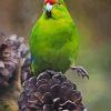 Kakariki Bird Diamond Painting