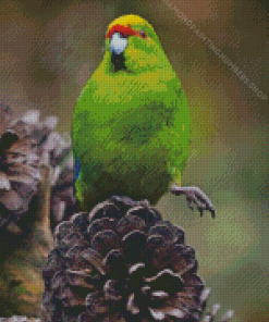 Kakariki Bird Diamond Painting