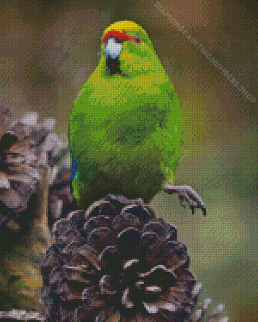 Kakariki Bird Diamond Painting