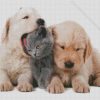 Kitten And Puppies Diamond Painting