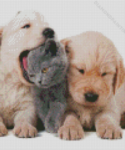 Kitten And Puppies Diamond Painting