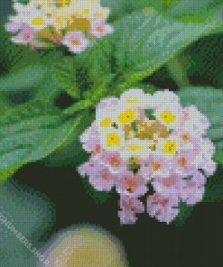 Lantana Light Pink Diamond Painting