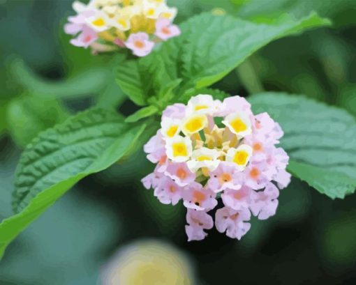 Lantana Light Pink Diamond Painting