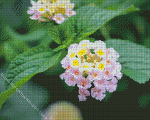 Lantana Light Pink Diamond Painting