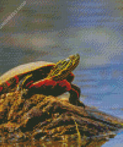 Little Red Turtle Diamond Painting