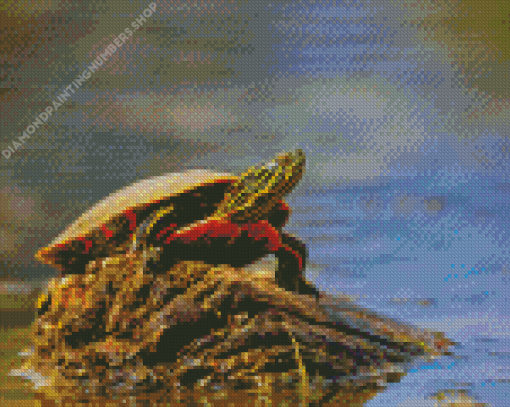 Little Red Turtle Diamond Painting