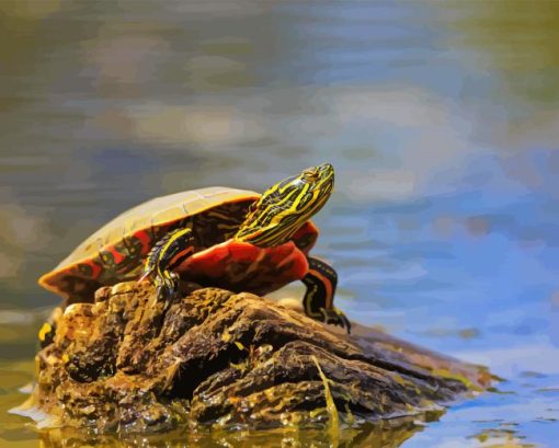 Little Red Turtle Diamond Painting