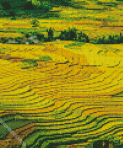 Paddy Field Landscape Diamond Painting