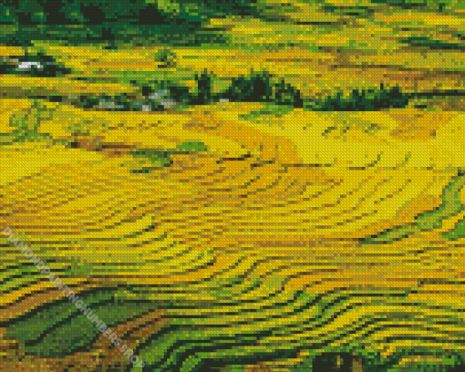 Paddy Field Landscape Diamond Painting