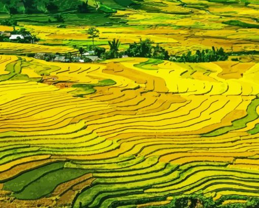 Paddy Field Landscape Diamond Painting