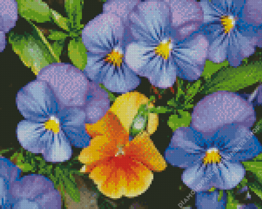 Pansy Flower Diamond Painting