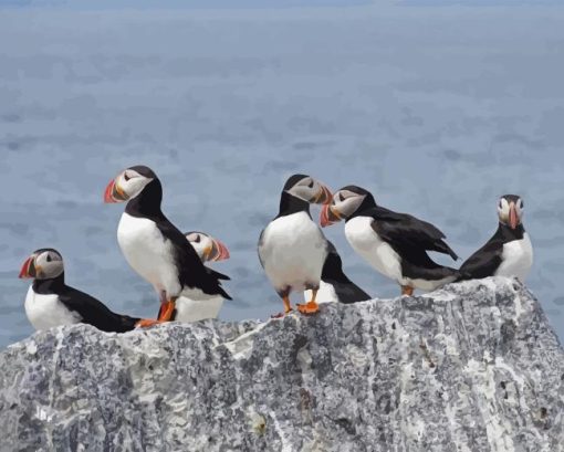 Puffins On Rocks Diamond Painting