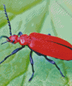 Red Beetle Diamond Painting