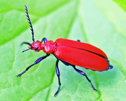 Red Beetle Diamond Painting