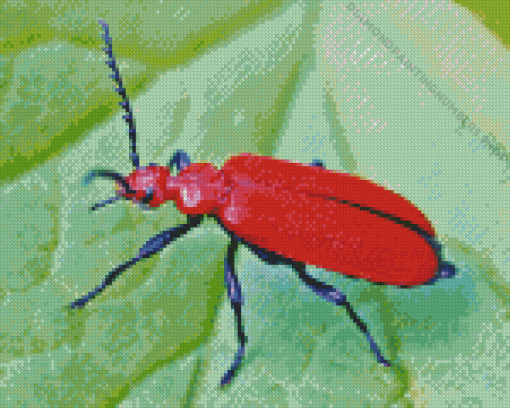 Red Beetle Diamond Painting