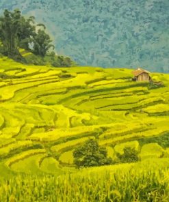 Rice Fields Diamond Painting