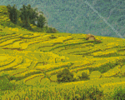 Rice Fields Diamond Painting