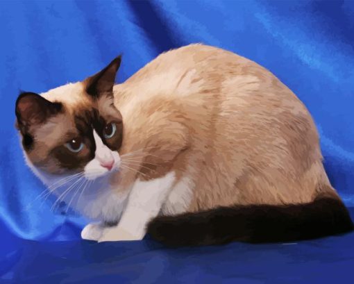 Snowshoe Cat Diamond Painting