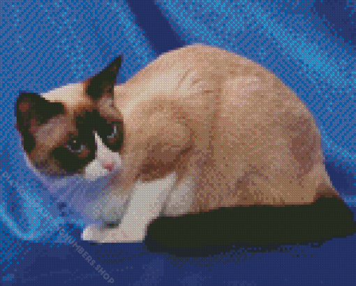 Snowshoe Cat Diamond Painting