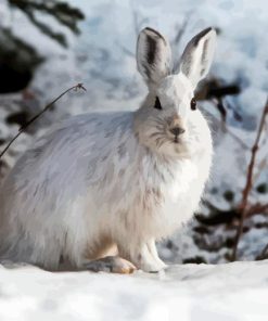 Snowshoe Hare Diamond Painting