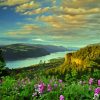 Sunny Columbia River Diamond Painting