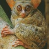 Tarsier Diamond Painting