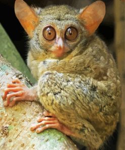 Tarsier Diamond Painting