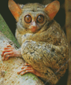 Tarsier Diamond Painting