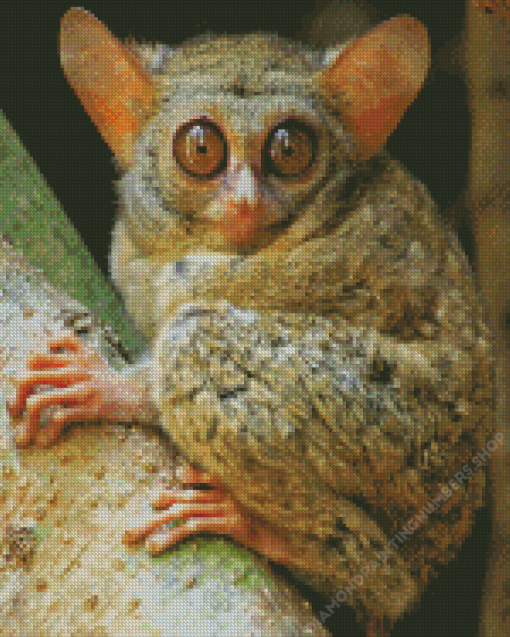 Tarsier Diamond Painting