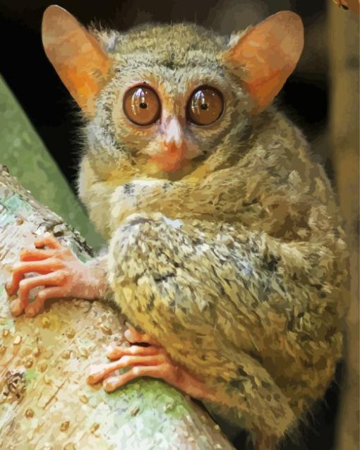 Tarsier Diamond Painting