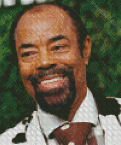 The Basketballer Walt Frazier Diamond Painting