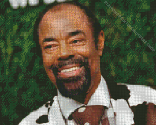 The Basketballer Walt Frazier Diamond Painting