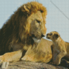 The Lion King And Cub Diamond Painting