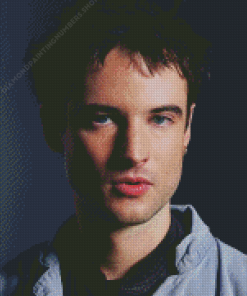 Tom Sturridge Diamond Painting