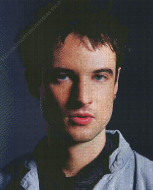 Tom Sturridge Diamond Painting