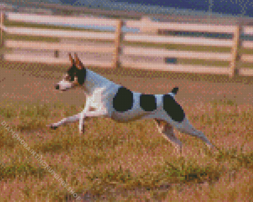 Toy Fox Terrier Diamond Painting