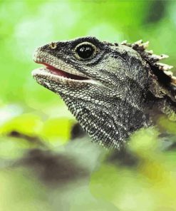 Tuatara Head Diamond Painting