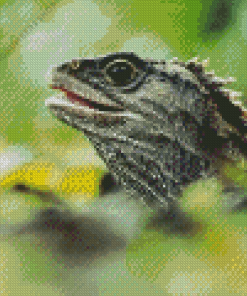 Tuatara Head Diamond Painting