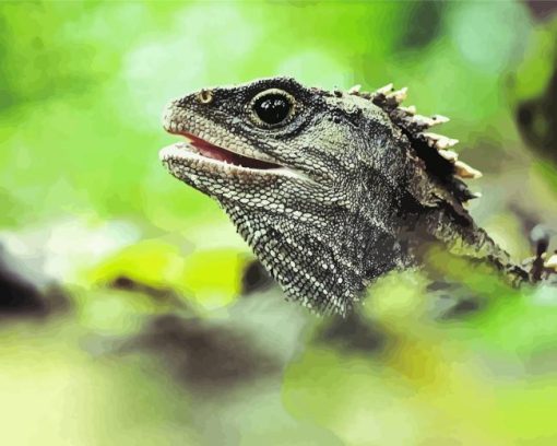 Tuatara Head Diamond Painting